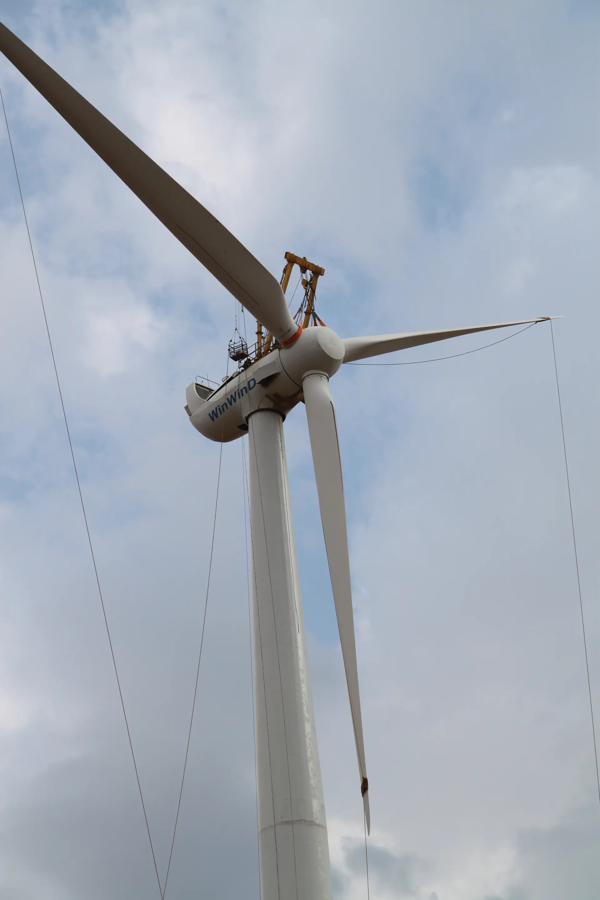 Wind Fan